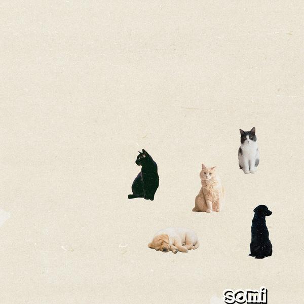 Image Cover